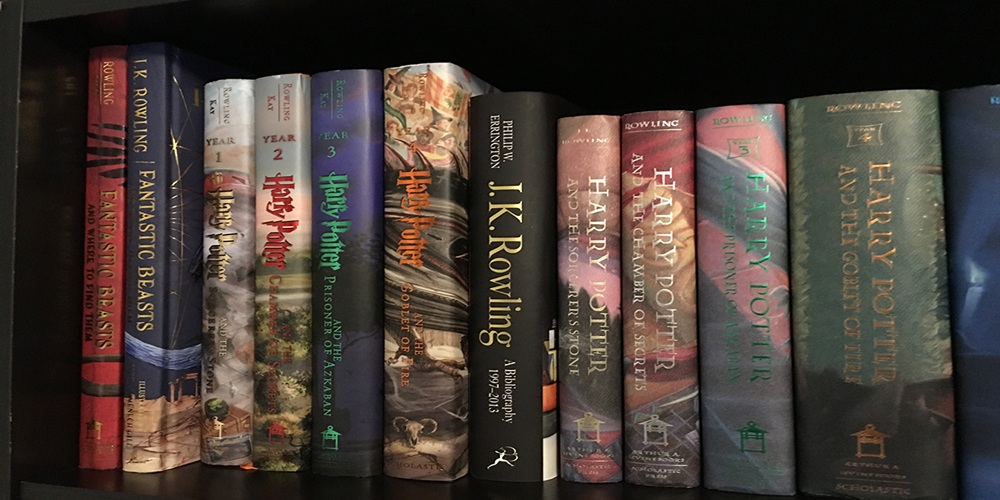 Harry Potter Illustrated Book 6